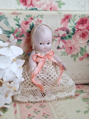 hertwig&coallbiscuitdoll