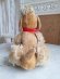 画像17: Steiff Snobbyプードル