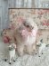 antiquecottonsheep