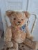 hermannteddybear