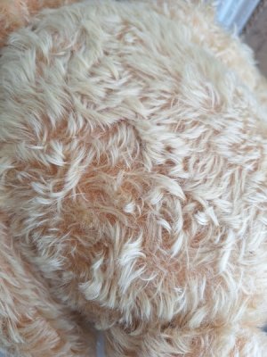 画像14: アンティークモヘアテディベア