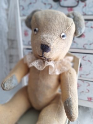 frenchteddybear