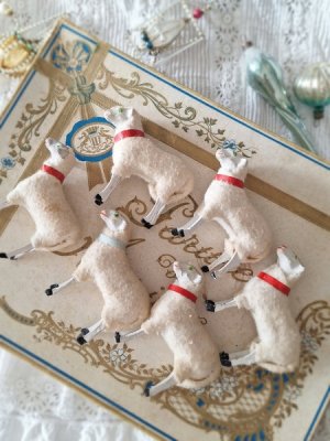 putszsheep
