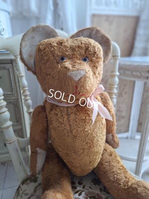 jpmteddybear