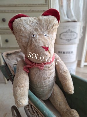 jpmteddybear