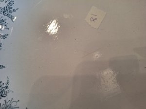 画像17: 買い付け雑貨2026.02