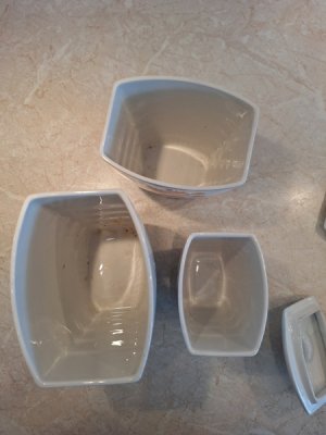 画像22: 買い付け雑貨2026.02