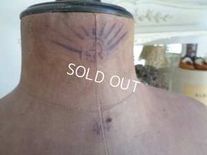 画像3: 19世紀パリのトルソー