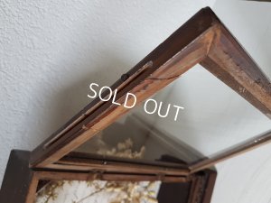 画像20: ワックスフラワーティアラガラスケース