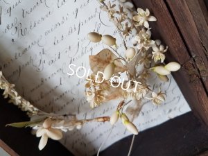 画像6: ワックスフラワーティアラガラスケース