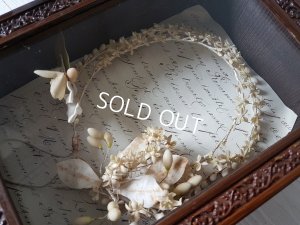 画像12: ワックスフラワーティアラガラスケース