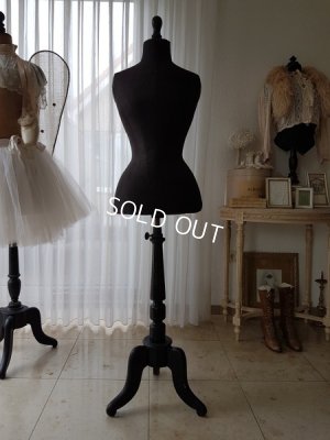 画像20: ヴィクトリアントルソー