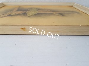 画像11: バレリーナ画