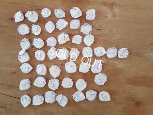 画像14: アンティークモノグラムレースキャビネット