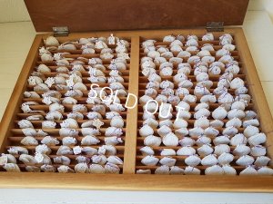 画像2: アンティークモノグラムレースキャビネット