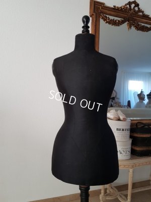 画像18: ナポレオン3世トルソー