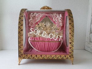 画像17: グローブドマリエガラスケース