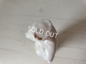 画像9: アンティ―クマリア像