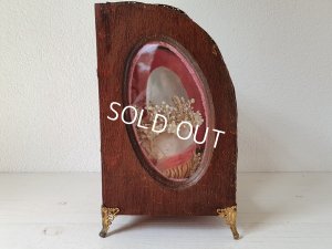 画像10: グローブドマリエガラスケース