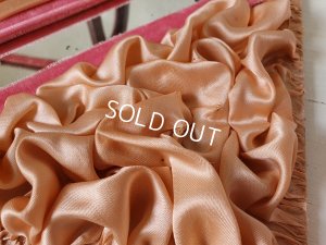 画像17: グローブドマリエガラスケース