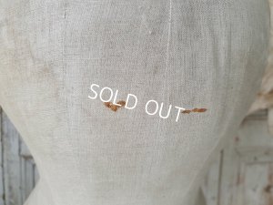 画像11: アンティ―クコルセットトルソー