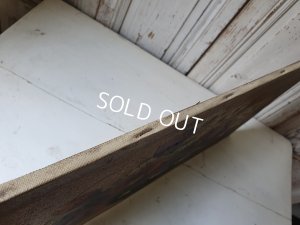 画像8: 花の油絵