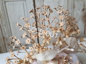 画像15: アンティ―クグローブドマリエガラスケース