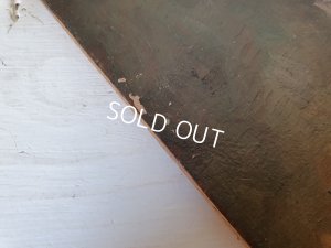 画像6: ペチュニアの油絵