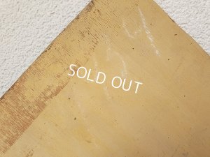 画像8: ペチュニアの油絵