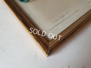 画像7: 額付きフランスモード画