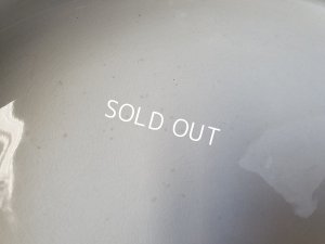 画像11: サルグミンヌJardinierベイスン