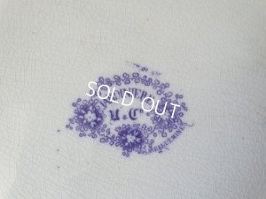 画像13: サルグミンヌJardinierベイスン