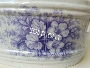 画像3: サルグミンヌJardinierベイスン