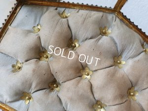 画像7: グローブドマリエガラスケース