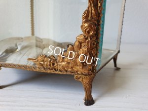 画像15: グローブドマリエガラスケース