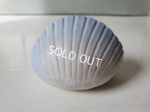 画像6: アンティークエンジェル聖水盤