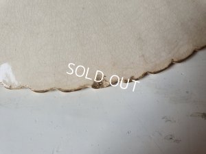 画像11: サルグミンヌローズ柄プレート