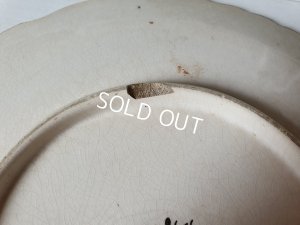 画像12: サルグミンヌローズ柄プレート