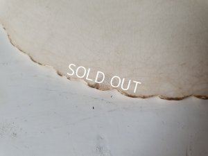 画像13: サルグミンヌローズ柄プレート