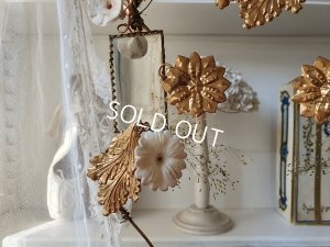 画像11: グローブドマリエガラスドーム