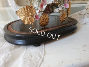 画像17: グローブドマリエガラスドーム