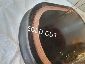 画像18: グローブドマリエガラスドーム