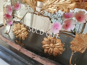 画像8: グローブドマリエガラスドーム