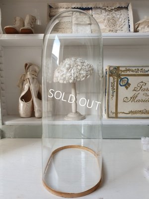 画像5: グローブドマリエガラスドーム