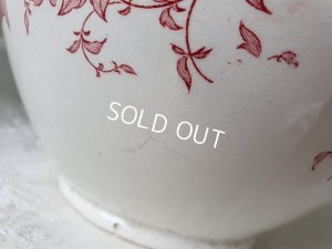 画像13: サルグミンヌ U&C ロゼットリボン柄ベイスン