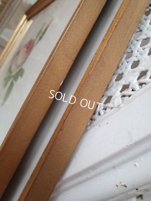 画像14: ルドゥーテローズ画セット