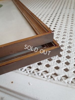 画像16: ルドゥーテローズ画セット