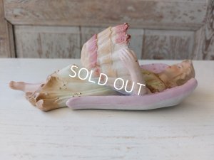 画像9: アンティークビスクエンジェル聖水盤