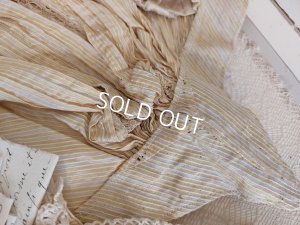 画像6: ガラスケース付ヴィクトリアンボディス