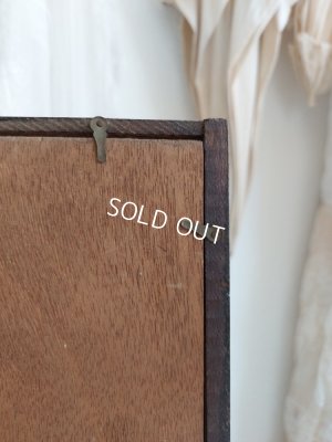 画像8: グローブドマリエガラスケース